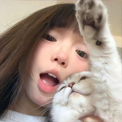 盛开的樱花林下